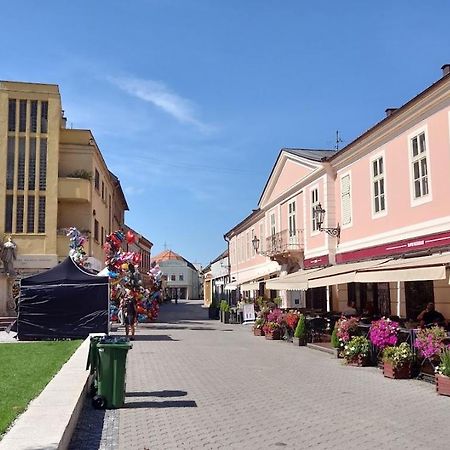Apartman Rea Komarno Bagian luar foto